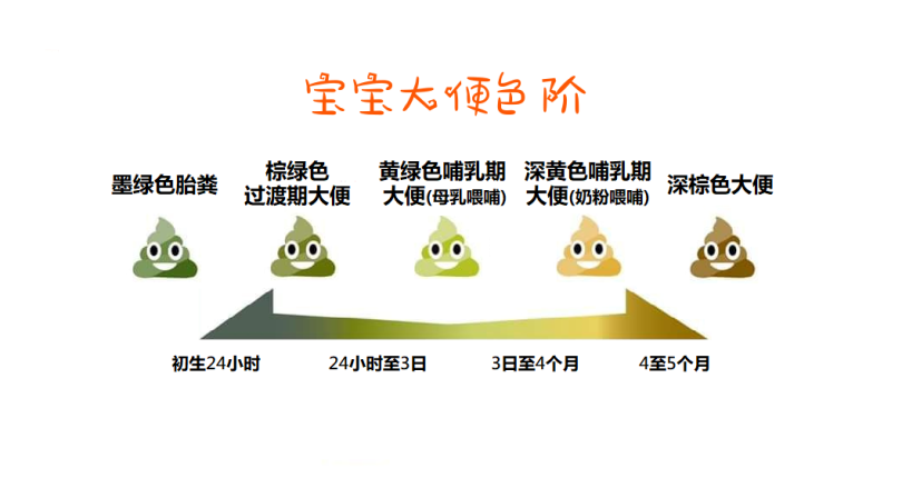 【寶寶大便💩💩顏色大解讀! 】